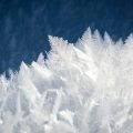 Cold Therapies